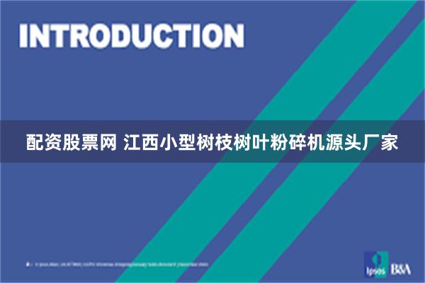 配资股票网 江西小型树枝树叶粉碎机源头厂家