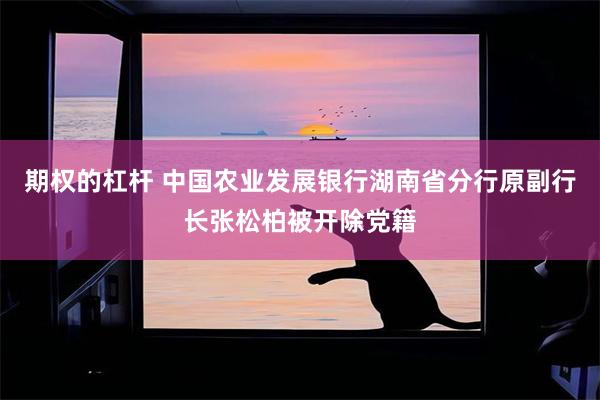 期权的杠杆 中国农业发展银行湖南省分行原副行长张松柏被开除党籍