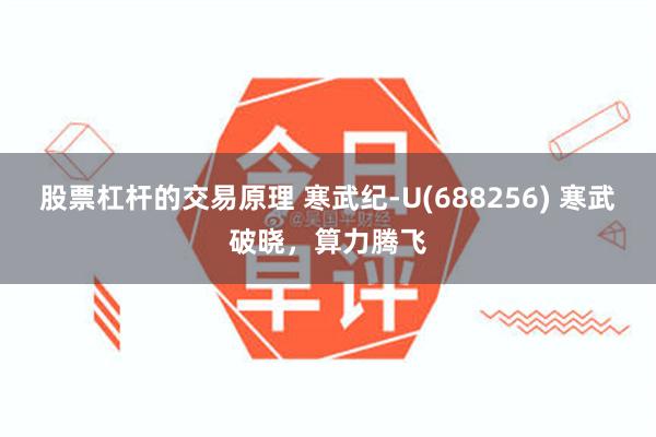 股票杠杆的交易原理 寒武纪-U(688256) 寒武破晓，算力腾飞