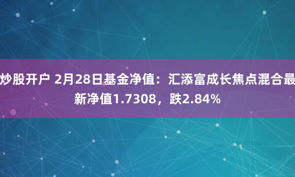 炒股开户 2月28日基金净值：汇添富成长焦点混合最新净值1.7308，跌2.84%